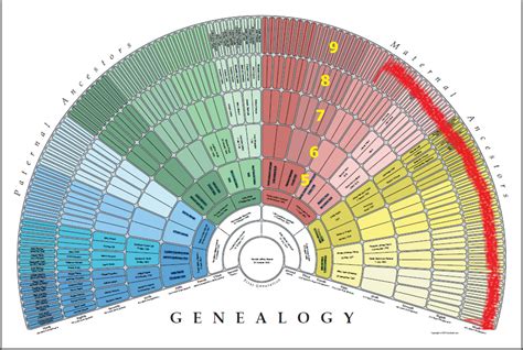 Native American Blood Degree Genealogy Ancestry Research Historical