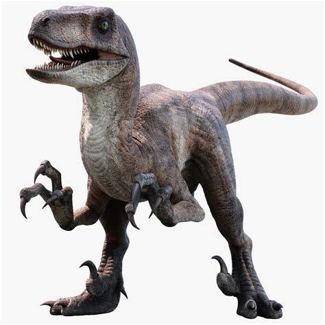 Velociraptor 3d Modell 199 Max Free3d