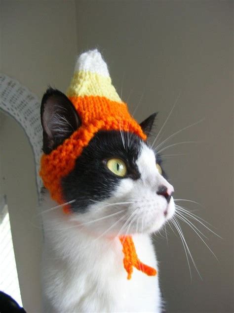 Candy Corn Cat Hat