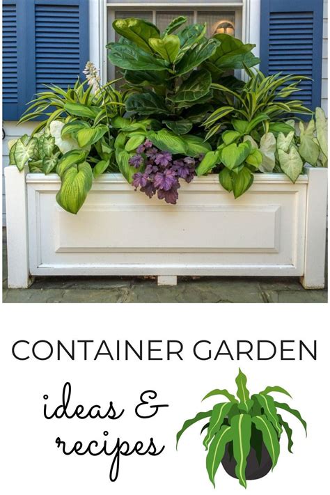 Container Garden Recipes 1 · Nourish And Nestle