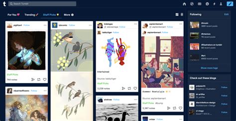 How To Use Tumblr 15 Tips For Beginners Crello Blog