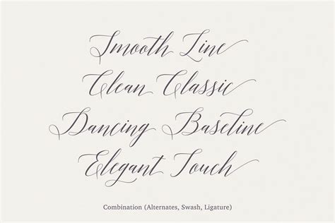 Adelicia Script Web Design Font Microsoft Word 2010 Calligraphy Fonts