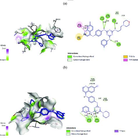 2d And 3d Docking Poses Showing Interactions Of Compounds 4 And5 In The