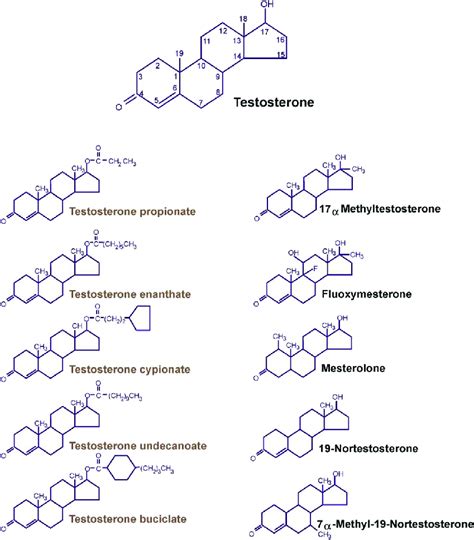 Molecular Structures Of Testosterone And Some Of Its Modifications