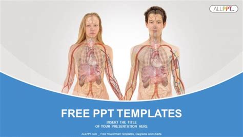 Human Anatomy Charts Free Download