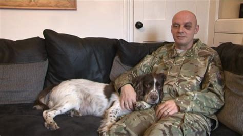 Ta Soldier Andy Hawkett Adopts Army Sniffer Dog Bbc News