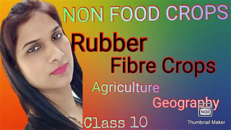 Agricultural Rubberfiber Crops Class10 Geography Youtube