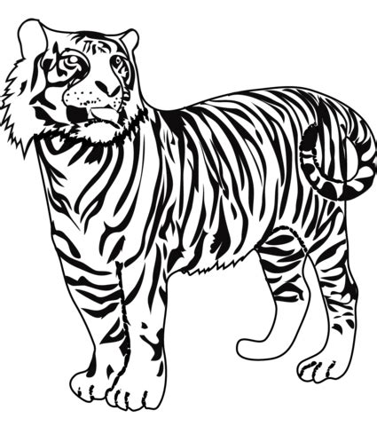 Ausmalbild Tiger Ausmalbilder Kostenlos Zum Ausdrucken