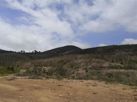 Terreno En Venta En CARRETERA EL SALVADOR CARRETERA EL SALVADOR