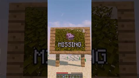 Saving Minecraft Axolotl From Herobrine 🤯 Shorts Youtube