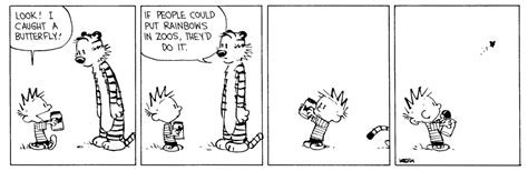 Calvin And Hobbes Biblioklept
