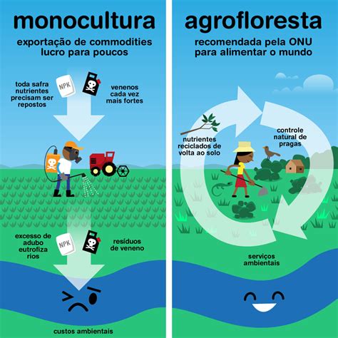 Biboca Ambiental Saiba O Que É E Como Funciona Um Sistema Agroflorestal