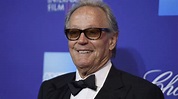 Peter Fonda dead at 79 - star of 'Easy Rider,' 'Ulee's Gold' had lung ...