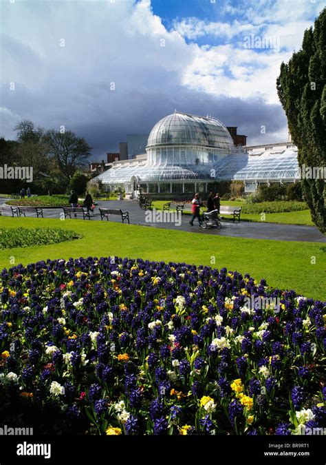 Palm House Botanic Gardens Belfast Ireland Stock Photo Alamy