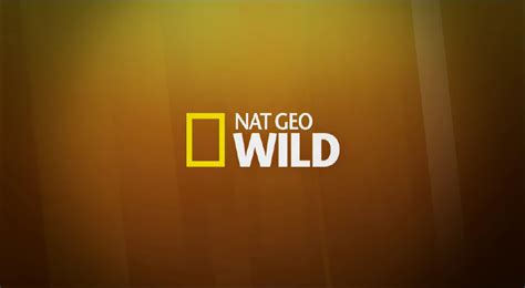 Nat Geo Wild 2015 Idents And Presentation