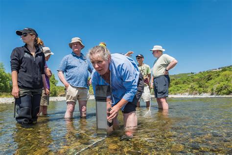 Summer Series 2017 Citizen Scientists Take On Hutt River Niwa