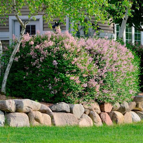 The sturdy gabion has been designed to be filled with rocks or gravel. Front Yard Landscaping Ideas With Rocks | Family Handyman