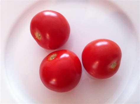 Campari Tomatoes Taste Like Home Grown Tomatoes Cookmundo