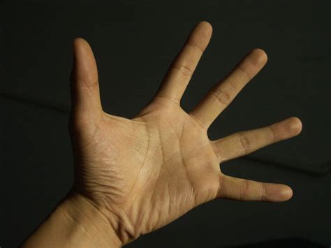 Hand Stock By Danielyuen Stock Hands Stock Peace Gesture
