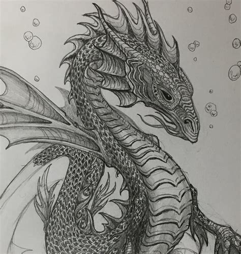 Work In Progress Pencil Drawing Water Dragon Dragons