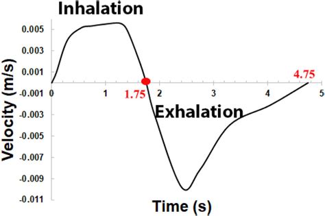 Realistic Breathing Velocity Profile For One Complete Breathing Cycle