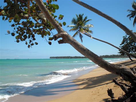 Beautiful Las Terrenas Beach Pictures Beach Outdoor