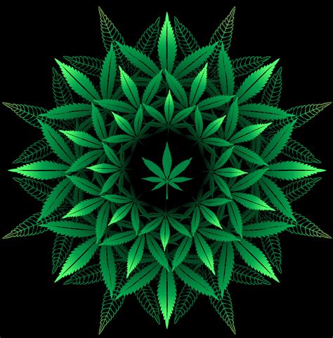 Mandala From Cannabis Leaf 14053339 Vector Art At Vecteezy