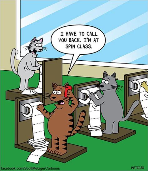 Gatti In Palestra Scott Metzger Cartoons Umorismo Funny Cats Cat