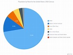 U.S. Population by Race (2010 Census) | Pie and Donut Charts (ES)