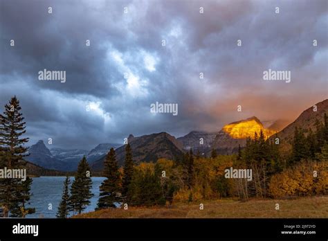 Shoulder of Mount Cleveland bathed in golden sunrise light in Glacier