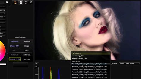 Baselight For Avid Overview Part 2 Youtube