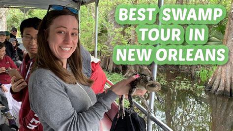 Best Swamp Tour In New Orleans Alligator Encounter New Orleans Best