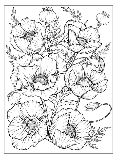 Coloring Page With Poppies And Leaves Vector Page For Coloring Flower