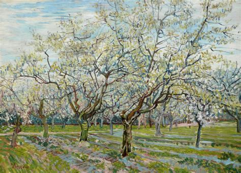 Van Gogh S Blossoming Orchard Triptych