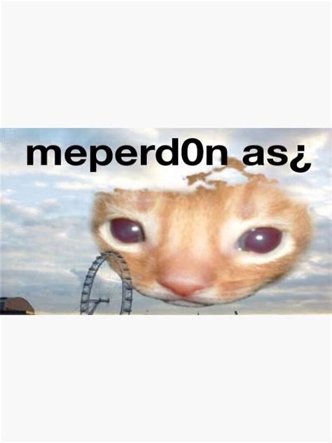 Me Perdonas Cat Funny Meme Poster By Memeology69 Redbubble