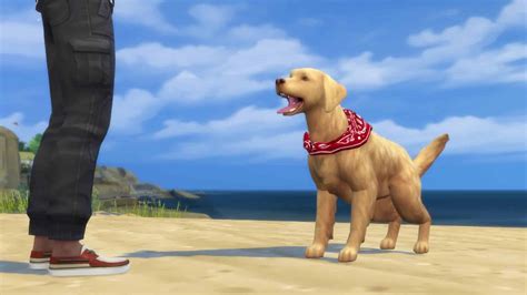 Sims 4 Realistic Pets Mod