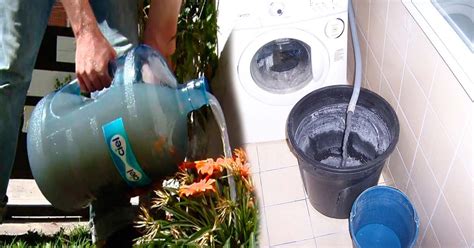 Como Reutilizar El Agua De La Lavadora Contribuye En El Cuidado Del