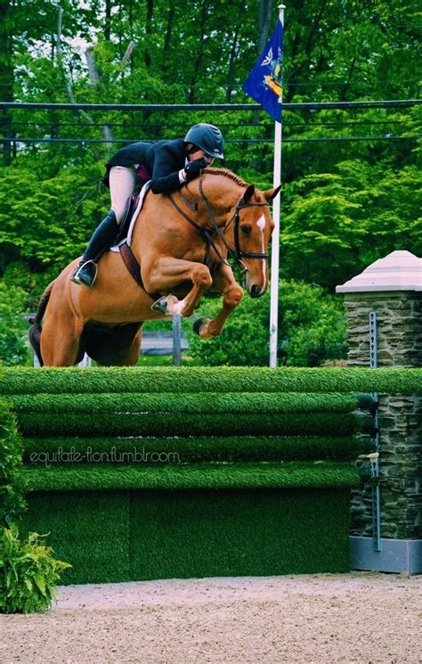 Pin By Audrey Hammerstone On Hunter Jumper And Eventing Horse Life
