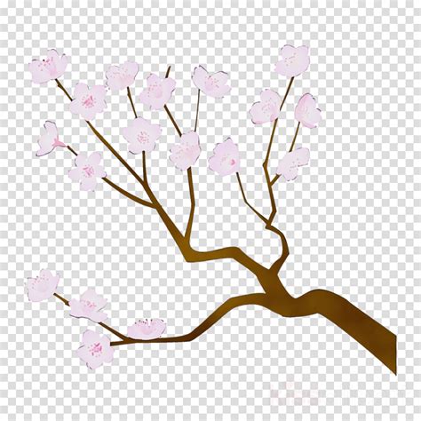 Cherry Blossom Clipart Branch Flower Pink Transparent Clip Art