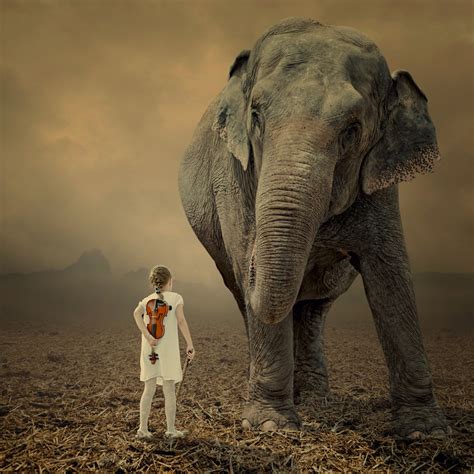 Elephant And Little Girl By Caras ıonut Art Two