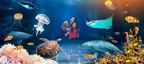 Explore Sea Life Benalmadena