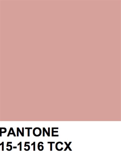 Dusty Pink Pantone Passion Pink Color