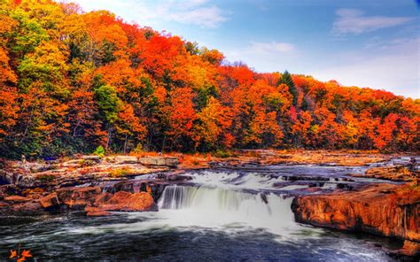 Take This Epic Fall Foliage Road Trip In Pennsylvania