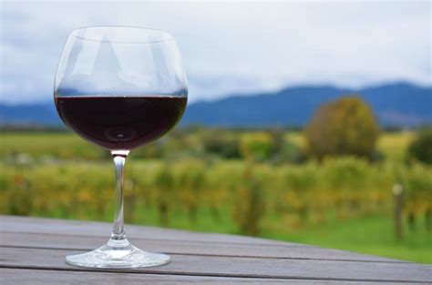 Top 10 Willamette Valley Wineries To Visit This Fall Select Registry