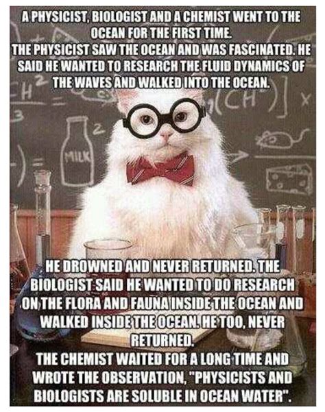 Pin By Cindy Knaub On Cats Science Humor Chemistry Humor Nerd Humor