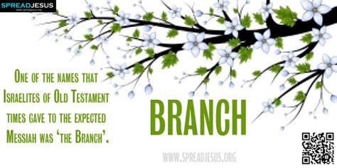 The definition of a messiah is a savior or leader for some cause. Biblical Definition Of BRANCH One of the names that ...