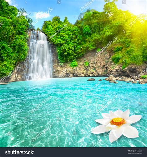 Beautiful Lotus Flower Waterfall Pool Vietnam Stock Photo