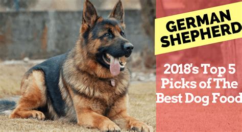Some gsds may have trouble with food sensitivity. 2020's Top 5 Picks of Best Dog Food For German Shepherds