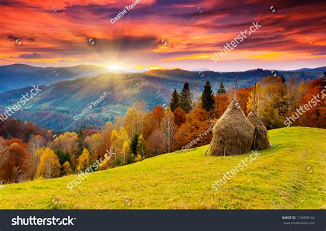 Mountain Autumn Landscape Colorful Forest Stock Photo