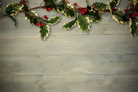 Holly Twigs Over Wooden Planks Stock Illustration Illustration Of